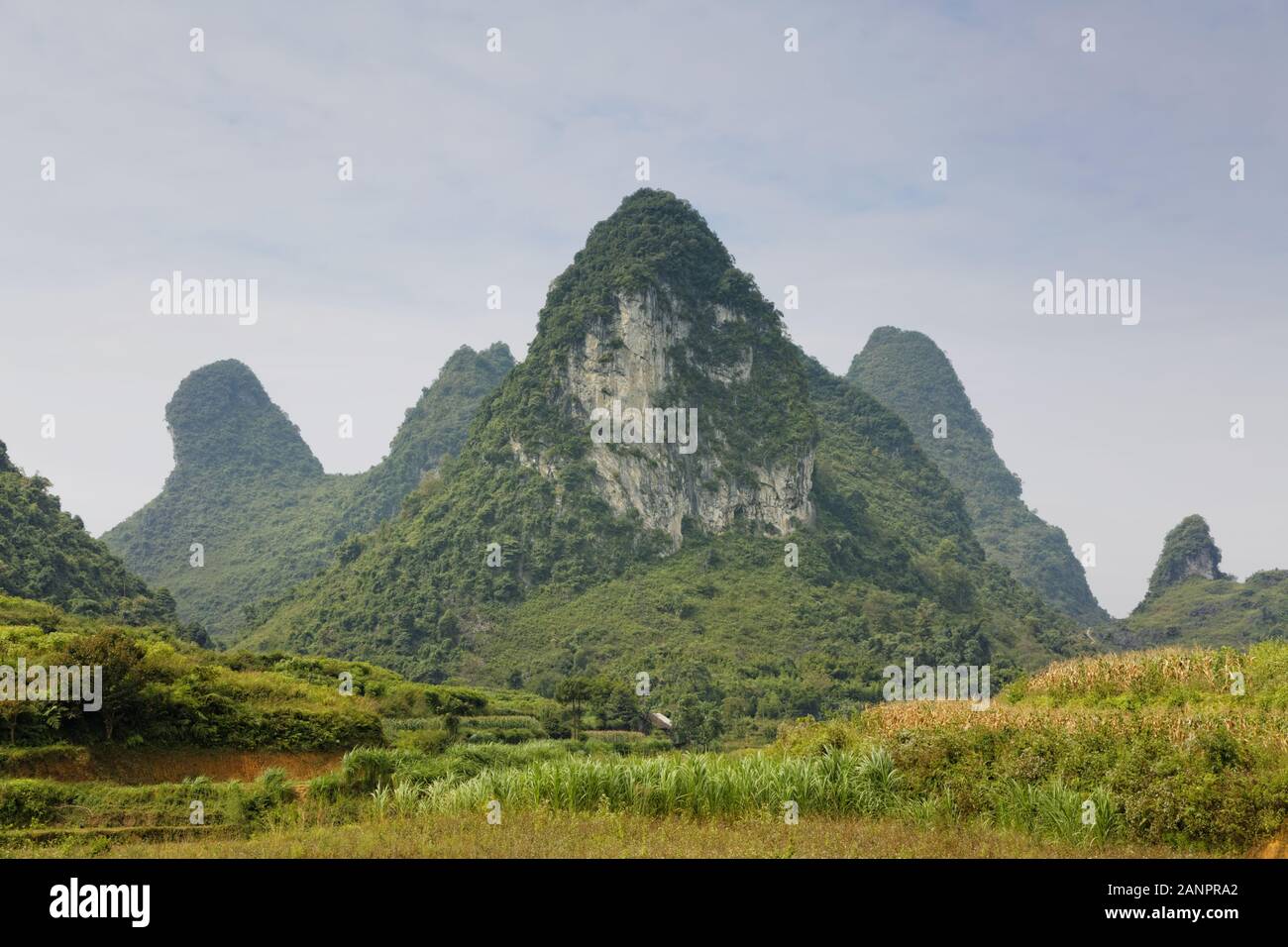 Colline calcaree nella provincia di Cao Bang, Vietnam Foto Stock