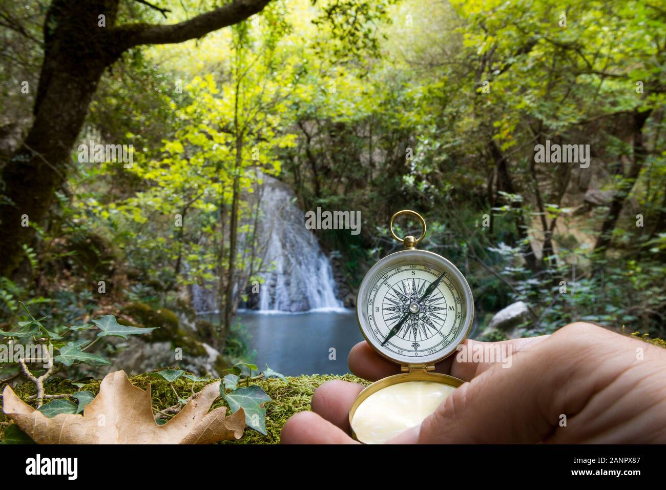 Mano d'uomo in possesso di una bussola in foresta, concetto di ricerca, esplorazione, conseguimento. Messa a fuoco selettiva Foto Stock