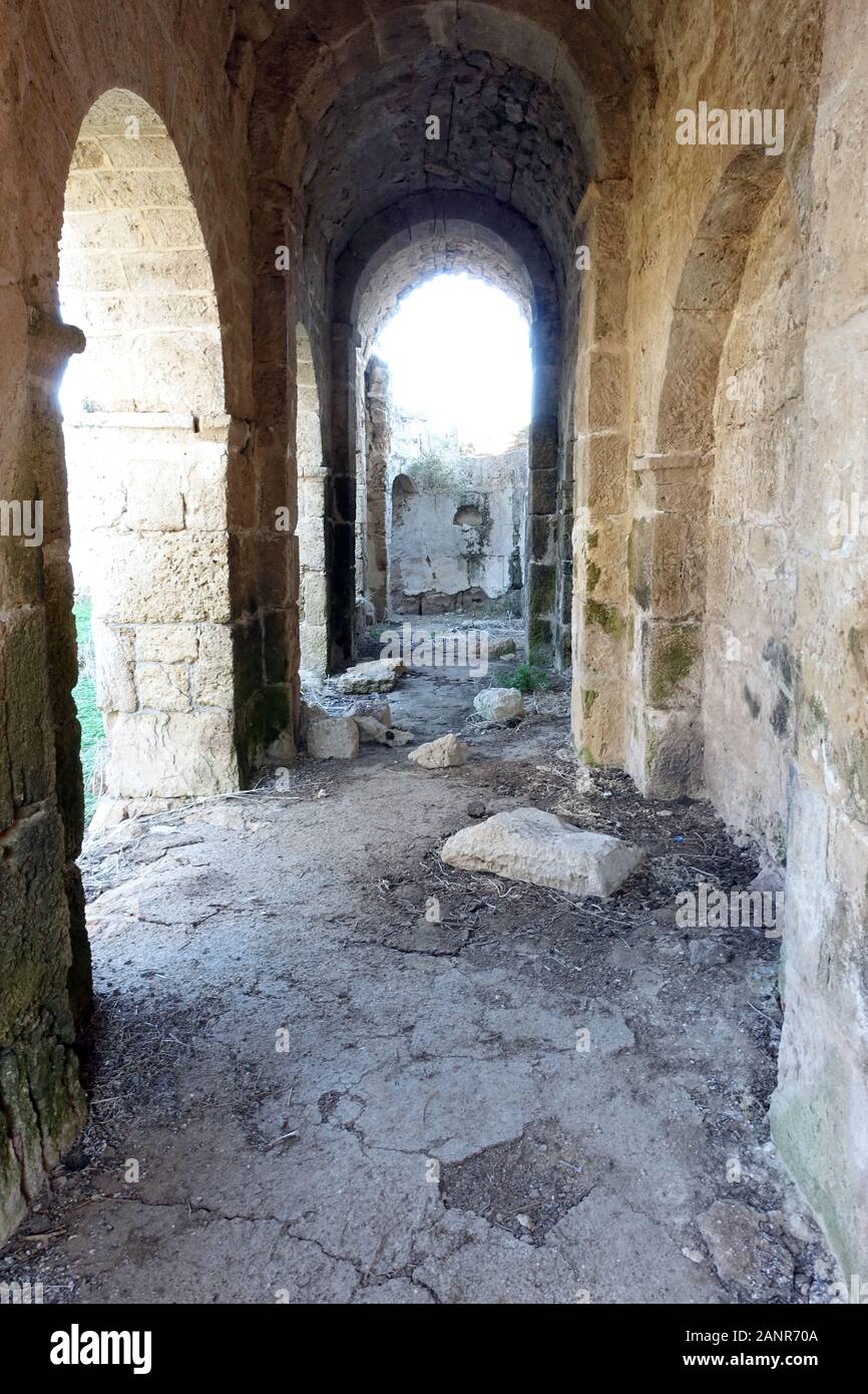 Antike Ruinenstadt Aphendrika, Dipkarpaz, Rizokarpasi, Türkische Republik Nordzypern Foto Stock