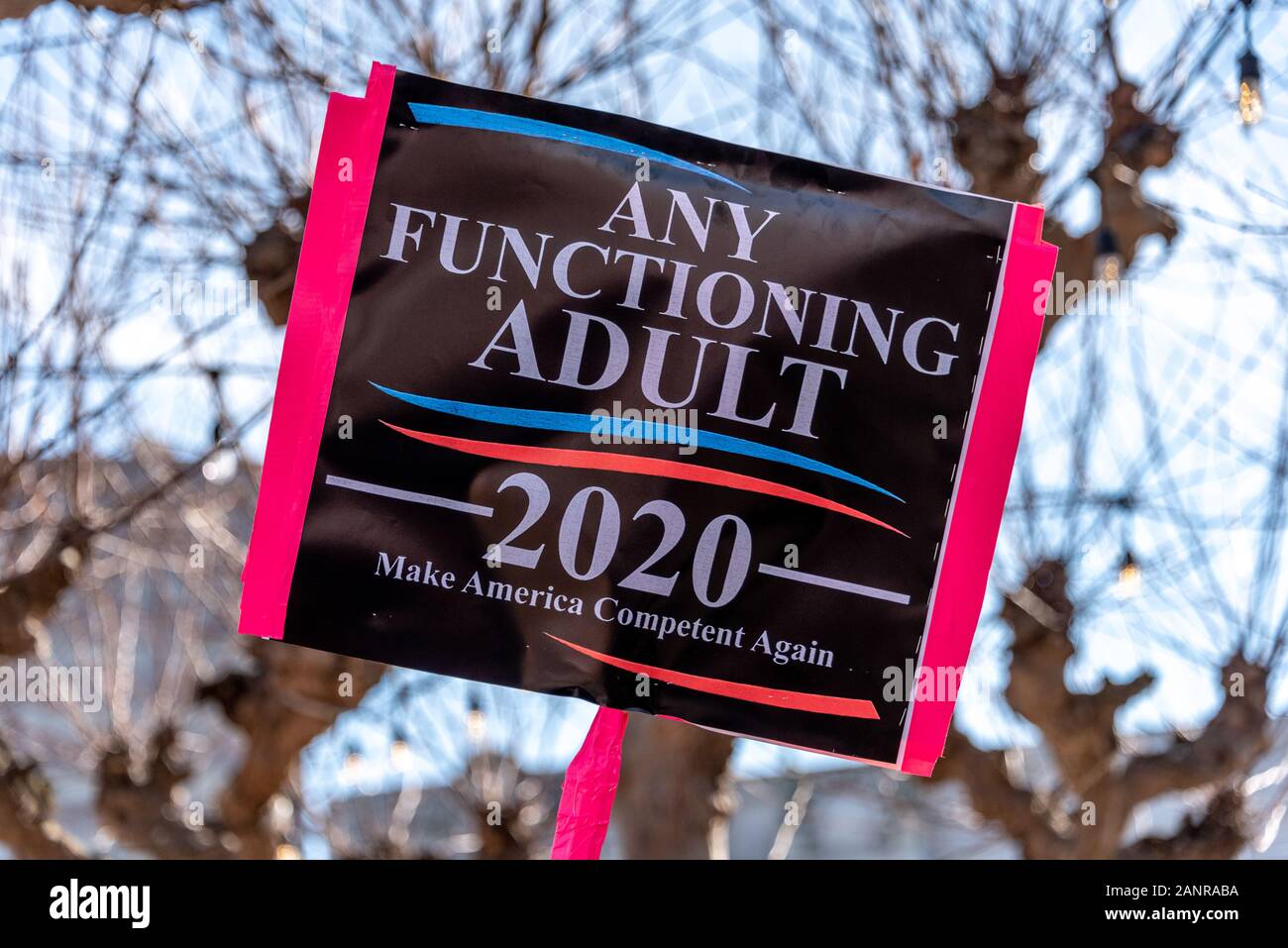 San Francisco, Stati Uniti. 18th gennaio 2020. La 4th annuale Women's March San Francisco, California. Un segno umoristico di elezione appare al di sopra della lettura della folla, 'Qualsiasi adulto funzionante, 2020. Rendere l'America nuovamente competente." Foto Stock
