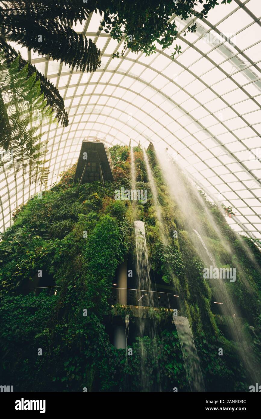Cascata al cloud forest cupola in Singapore Foto Stock