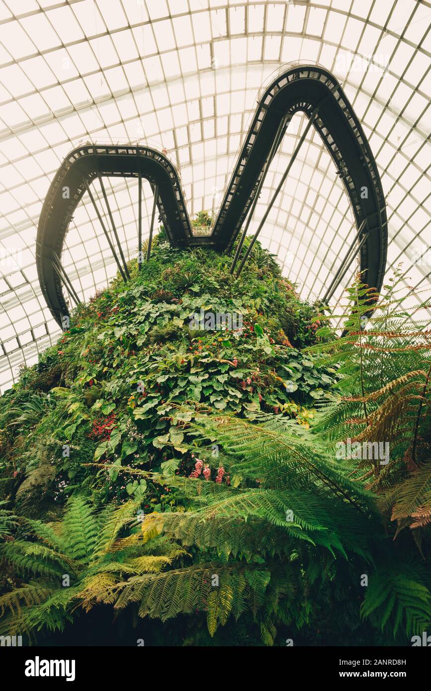 Il cloud forest cupola presso i giardini dalla baia di Singapore Foto Stock