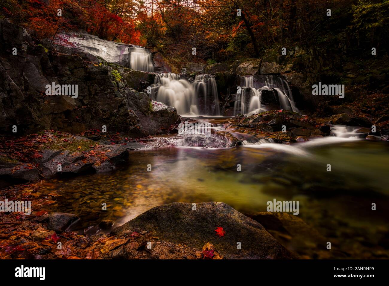 Due livelli di Bangtdaesan cascate in autunno. questa cascata che si trova a pistola inje gangwon provincia , corea del sud Foto Stock