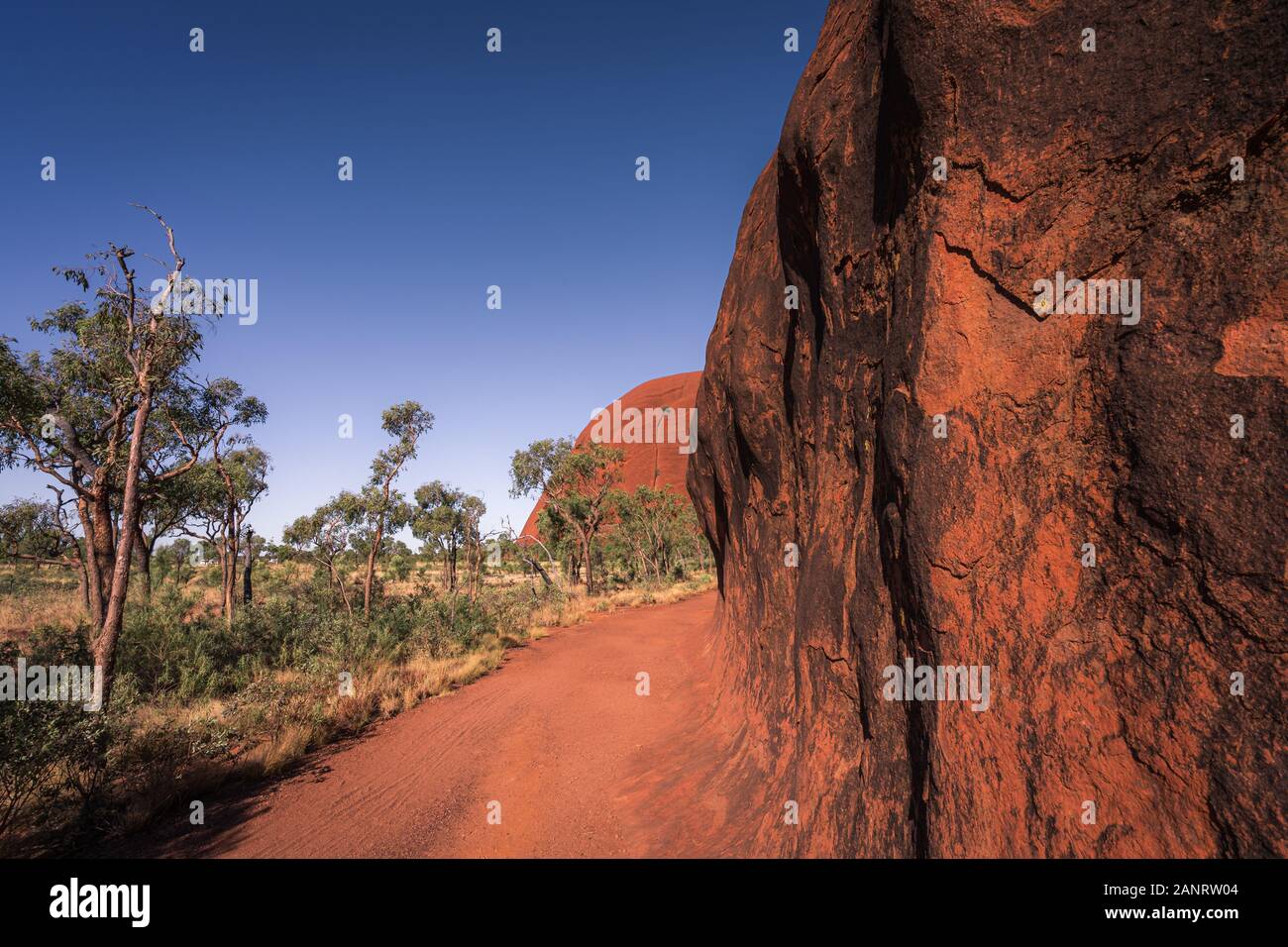 Paesaggio Dell'Outback, Australia Centrale, Territorio Del Nord Foto Stock