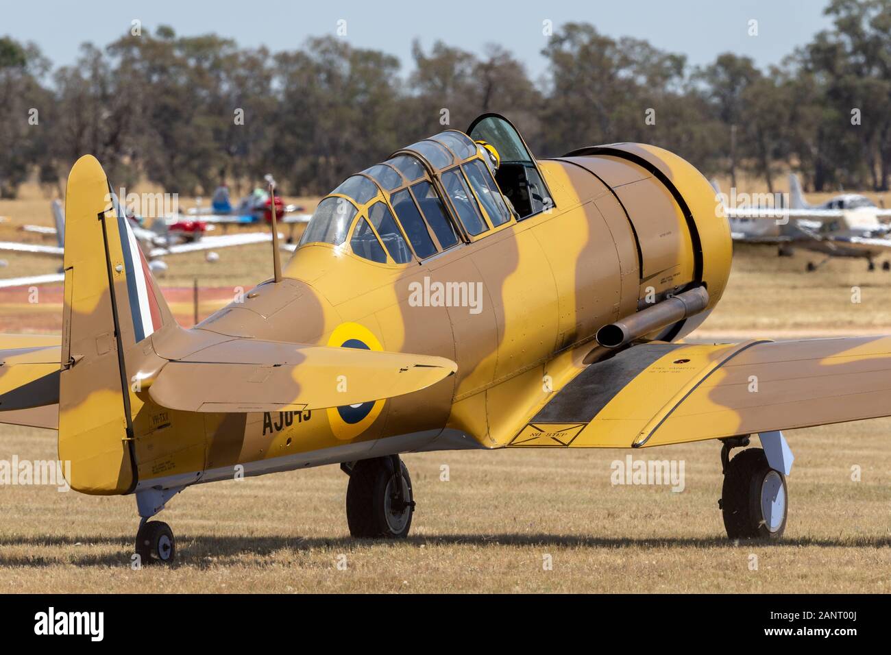 North American T-6 (Noorduyn A-16) Harvard VH-TXN unico motore di addestramento militare aerei da guerra mondiale II. Foto Stock