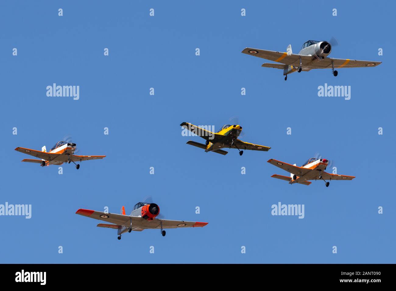 Commonwealth Aircraft Corporation CA-25 Winjeel aeromobili portando una formazione di ex Royal Australian Air Force trainer aeromobili. Foto Stock