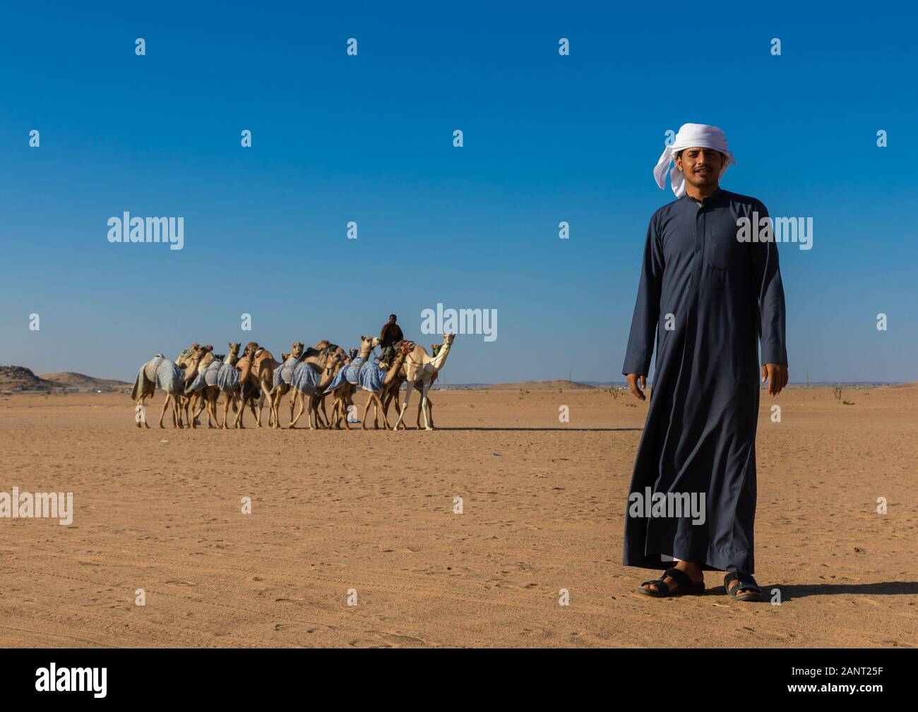 Arabia uomo davanti di cammelli per la formazione in gara il Rub' al Khali desert, provincia di Najran, Hubuna, Arabia Saudita Foto Stock