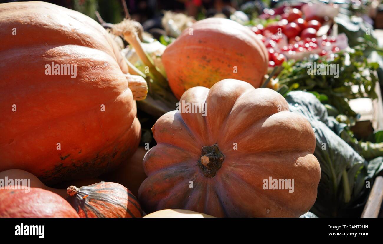 Zucche in vendita presso una sede di mercato degli ortaggi a Colmar, Francia Foto Stock