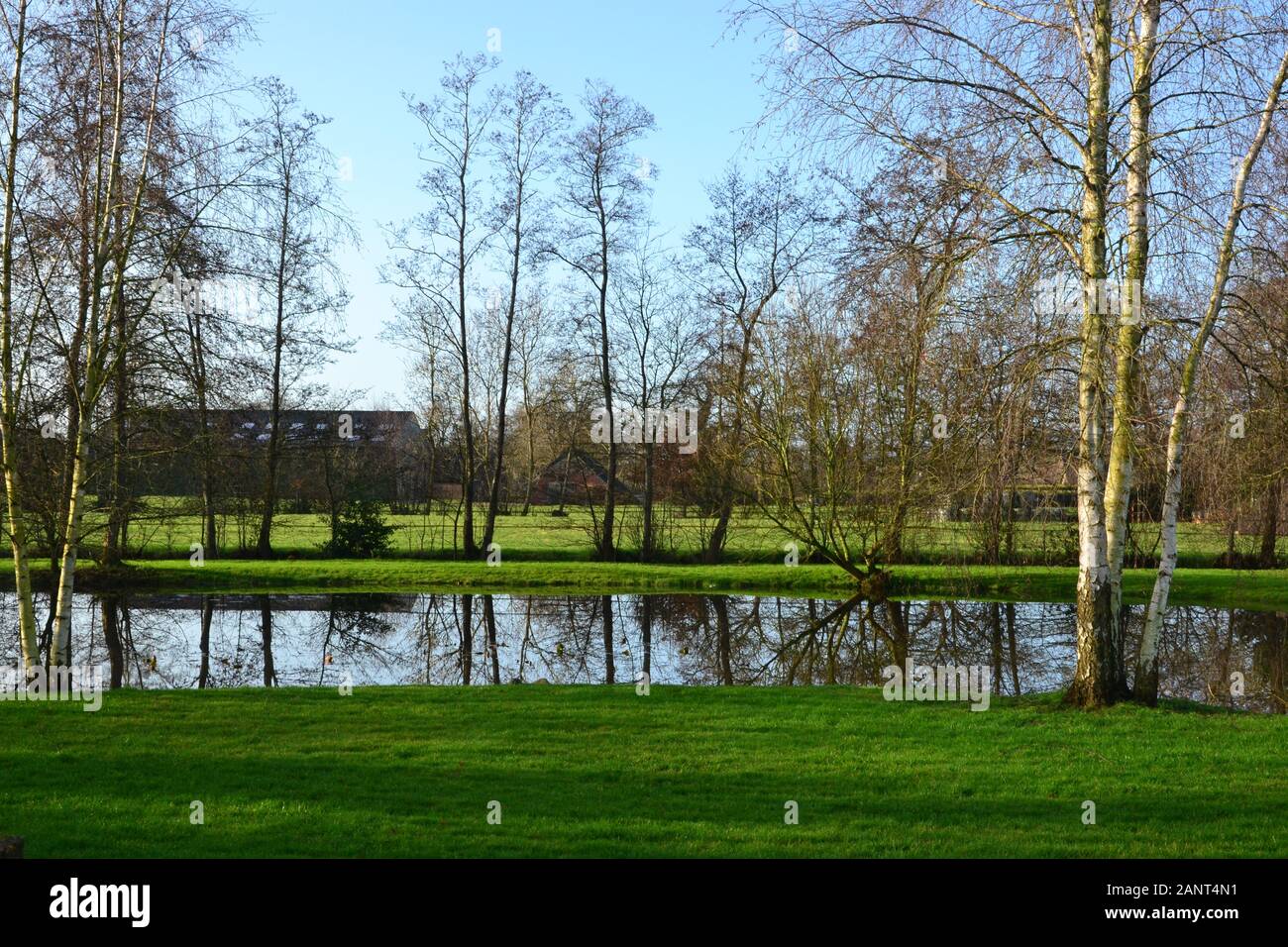 Vista sul piccolo lago, Vicino a Kornhorn, Groningen, Paesi Bassi Foto Stock