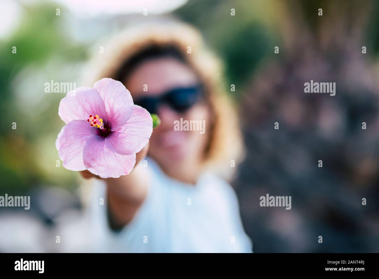 La molla e il concetto di felicità con felice Allegra donna sfocati che mostra un grande fiore rosa con mano sorridente e la riproduzione nella parte anteriore della telecamera - Beau Foto Stock