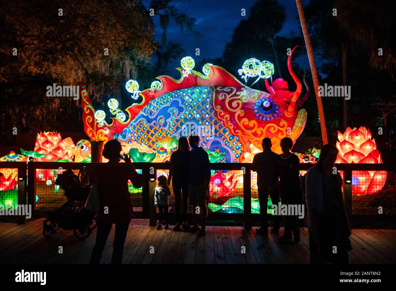 Sanford, Fla/STATI UNITI D'America - 29 DIC 2019: La Lanterna asiatici Festival, nel selvaggio, presso il Central Florida Zoo & Botanical Gardens featured oltre 30 lanter LED Foto Stock