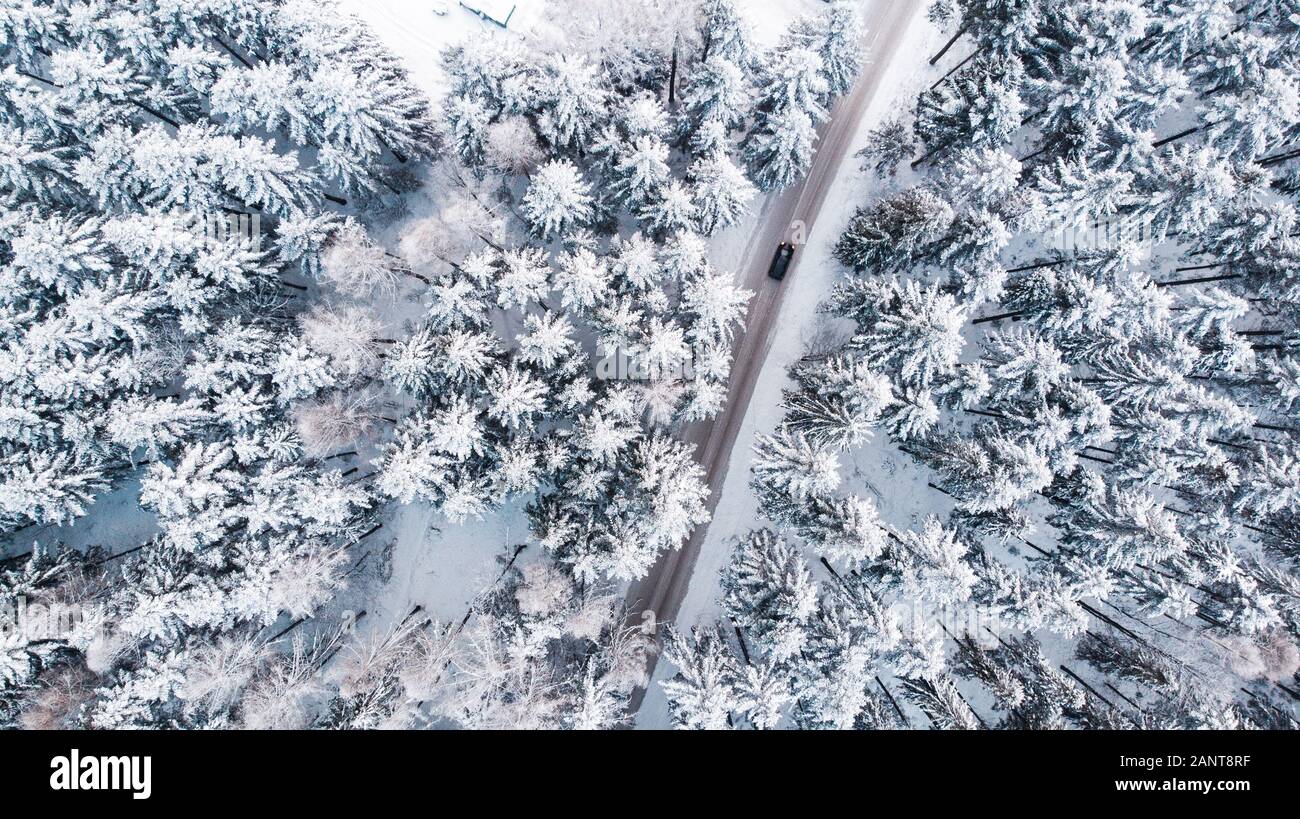 In auto attraverso boschi innevati in inverno Wonderland, Top Down Vista aerea. Foto Stock