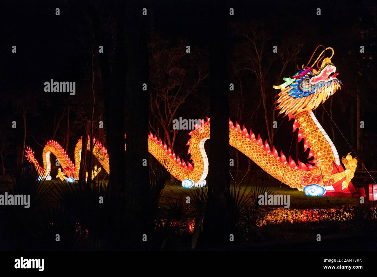 Sanford, Fla/STATI UNITI D'America - 29 DIC 2019: La Lanterna asiatici Festival, nel selvaggio, presso il Central Florida Zoo & Botanical Gardens featured oltre 30 lanter LED Foto Stock