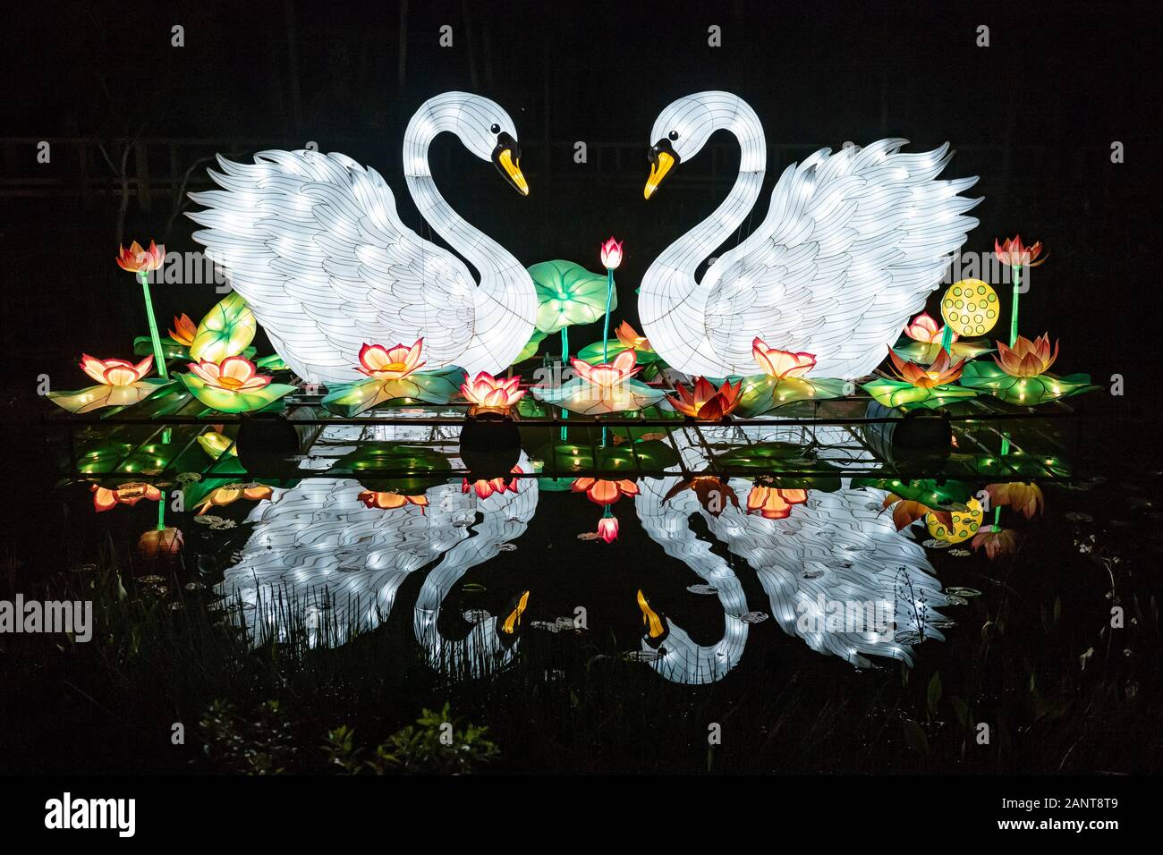 Sanford, Fla/STATI UNITI D'America - 29 DIC 2019: La Lanterna asiatici Festival, nel selvaggio, presso il Central Florida Zoo & Botanical Gardens featured oltre 30 lanter LED Foto Stock