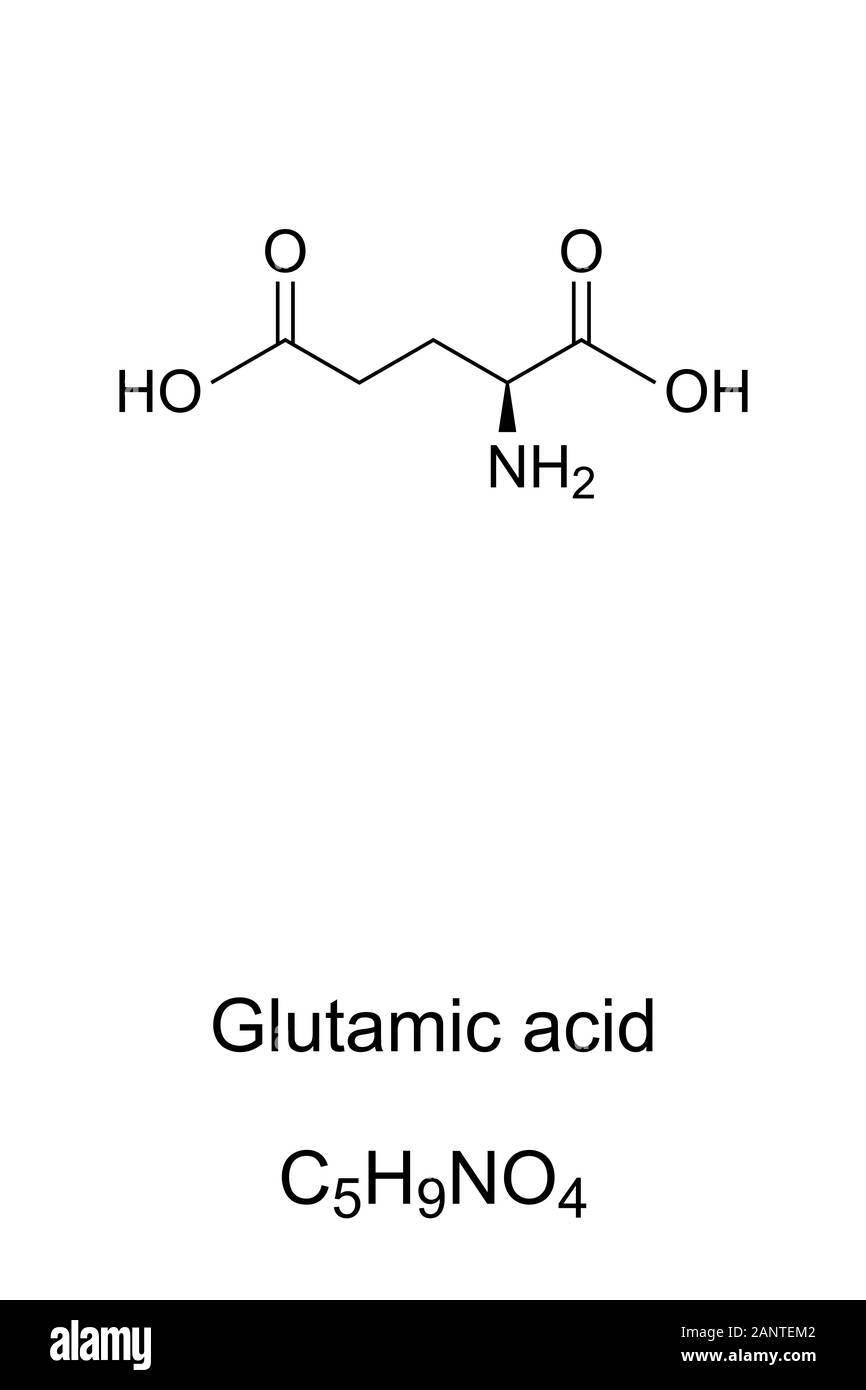 Acido glutammico molecola, formula scheletrico. Struttura di C5H9NO4, utilizzato nella biosintesi delle proteine. Il neurotrasmettitore nel sistema nervoso di vertebrati di sistemi. Foto Stock