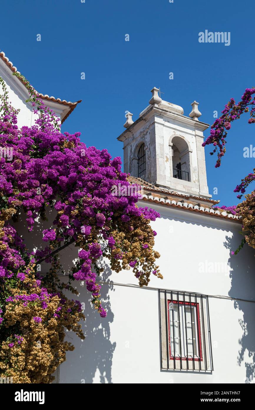 Alberi in fiore di fronte alla chiesa di Igreja de Santa Luzia a Lisbona, Portogallo, in una giornata di sole. Foto Stock