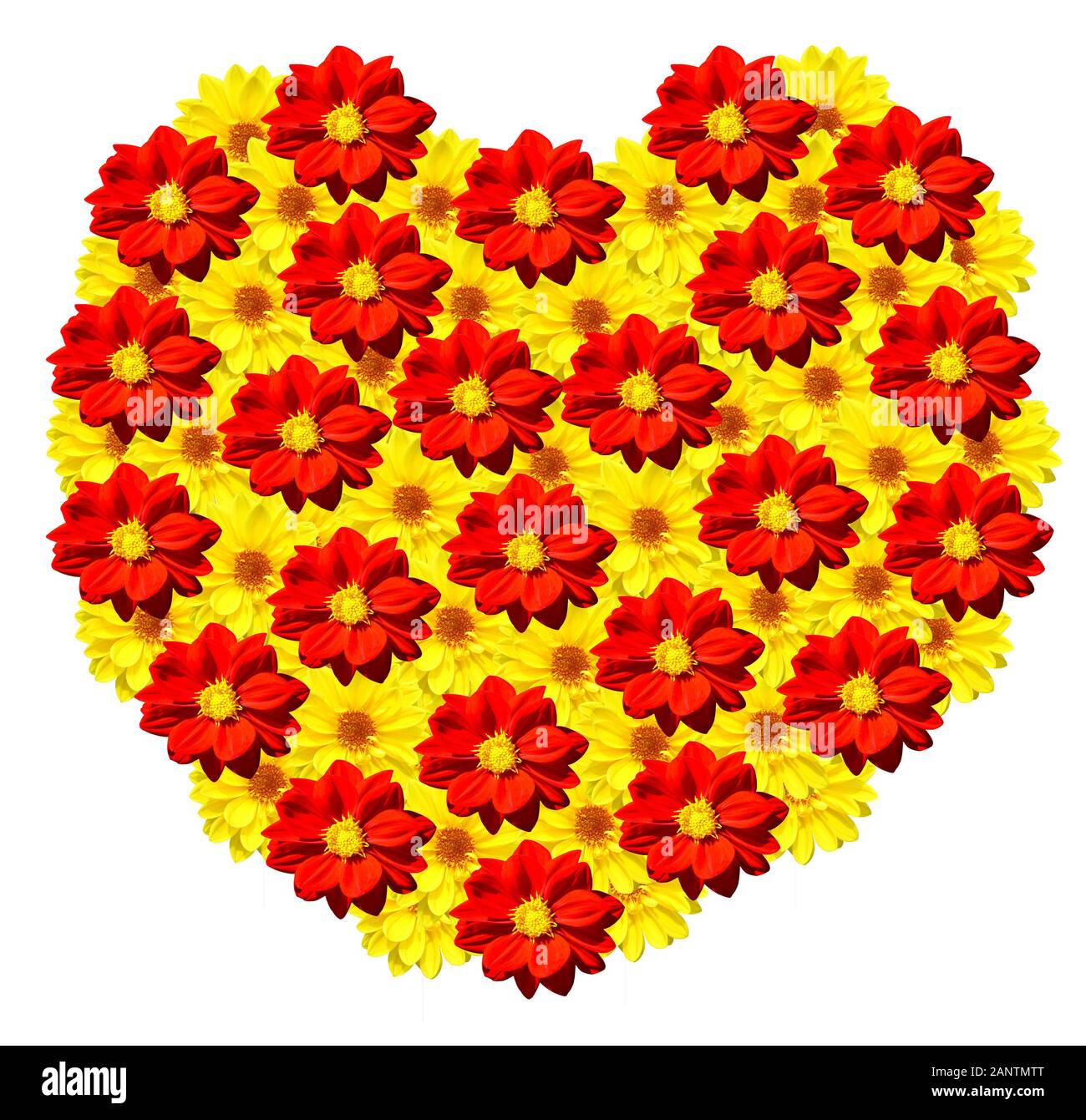 Essere il mio Valentino Rossi e giallo dalia fiori a forma di cuore, Foto Stock