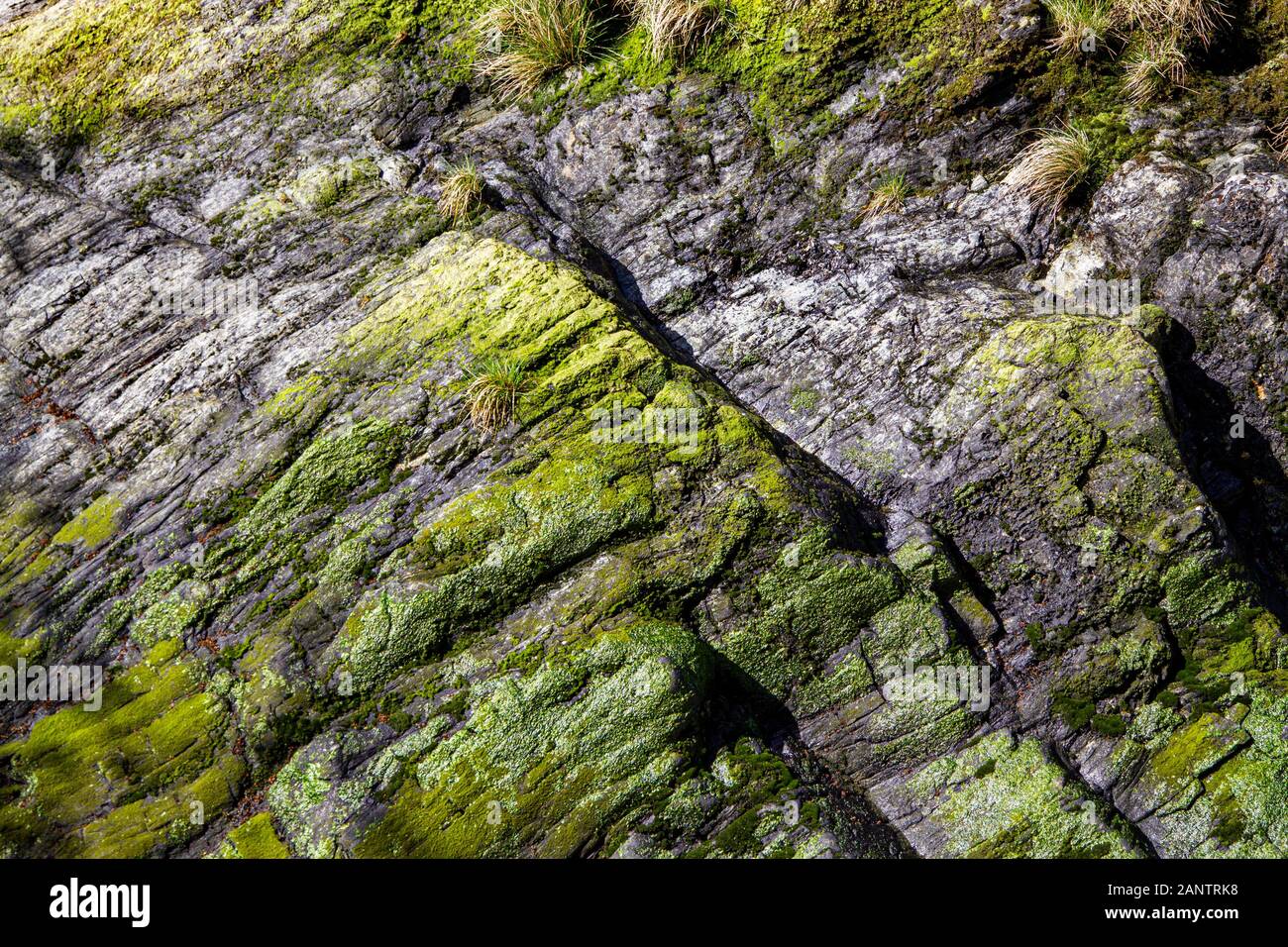 Meteo rocce usurate con moss su di essi Foto Stock