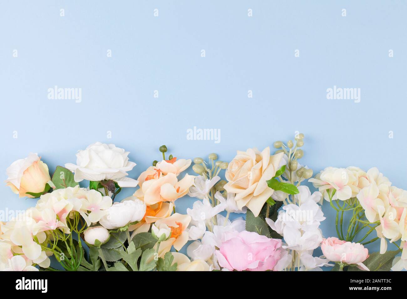 Vari fiori diversi con colori vivaci su sfondo blu. Disposizione piatta, vista dall'alto, spazio di copia Foto Stock
