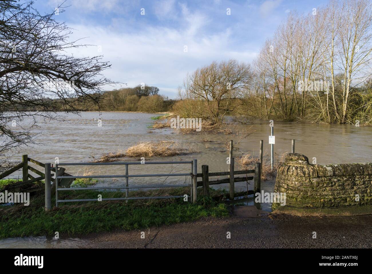 Le forti piogge invernali causano inondazioni del fiume Great Ouse a Radwell, Bedfordshire, Regno Unito Foto Stock