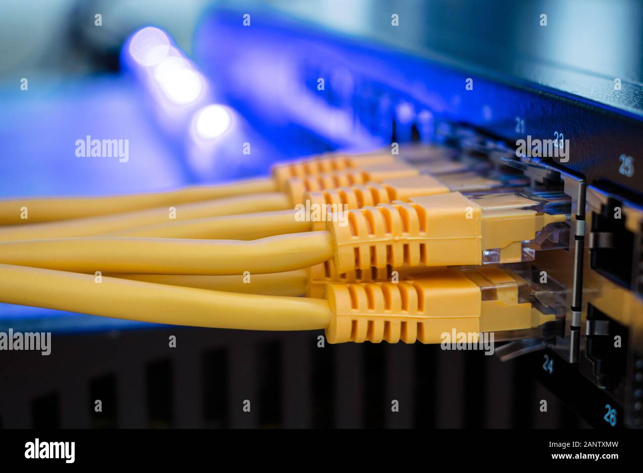 Molti giallo fili internet collegare allo switch di rete nella stanza del server. Cavo UTP collega alle interfacce dei router della sede principale. Informazione Foto Stock