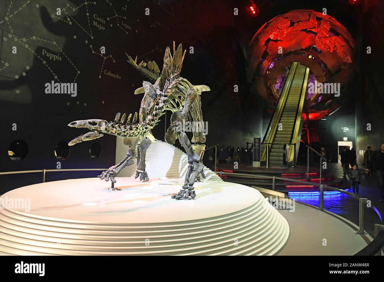 La Terra Hall con il suo red globe escalator e Stegosaurus, in terra gallerie, Red Zone, presso il Museo di Storia Naturale di Londra, Inghilterra, Regno Unito Foto Stock
