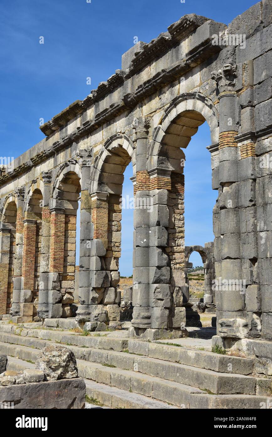 La rovinata Basilica, uno scavo romano nell'antica città berbera di Volubilis, vicino alla città di Meknes, Marocco, Nord Africa. Foto Stock