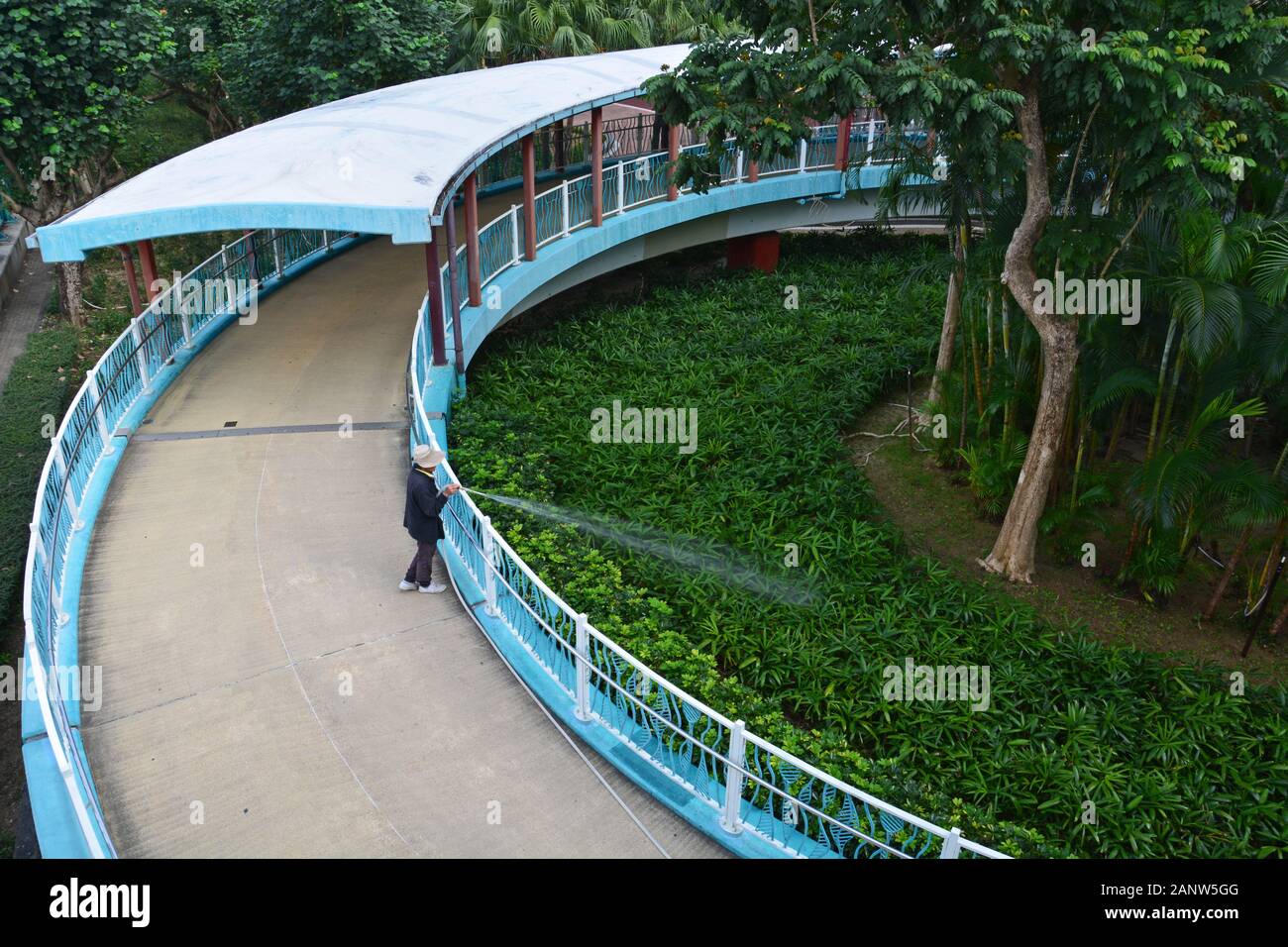 Una donna bagna le piante in un giardino al cavalcavia pedonale nel Quarry Bay Park di Hong Kong. Foto Stock