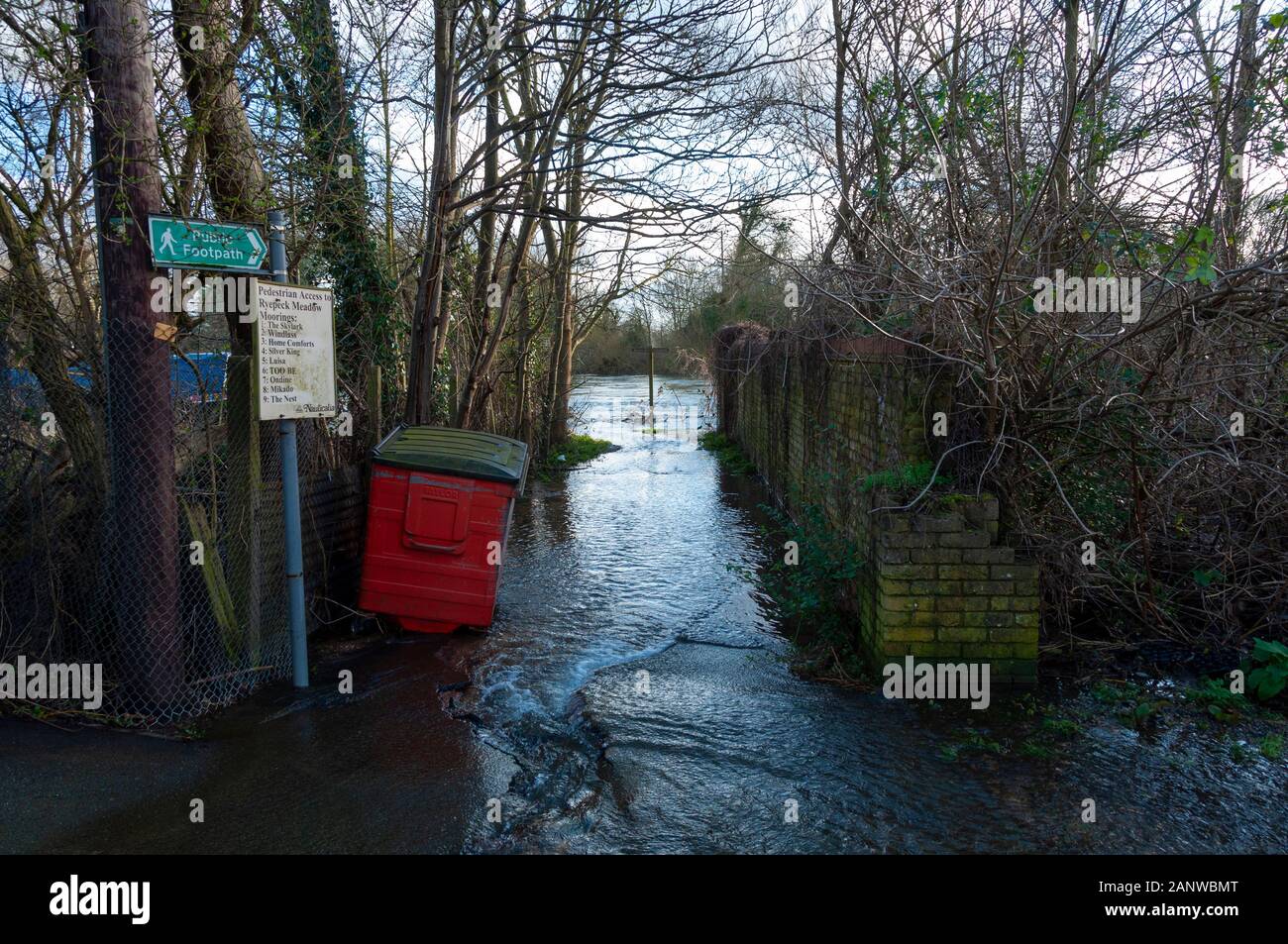 CHERTSEY, Regno Unito - 20 Feb 2014 - Inondazioni dopo il fiume Tamigi burst si tratta di banche in alto raggiunge vicino a Chertsey Surrey in Inghilterra REGNO UNITO Foto Stock