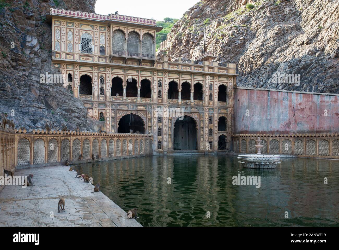 Tempio Delle Scimmie, Tempio Di Hanuman Ji, Jaipur, India Foto Stock