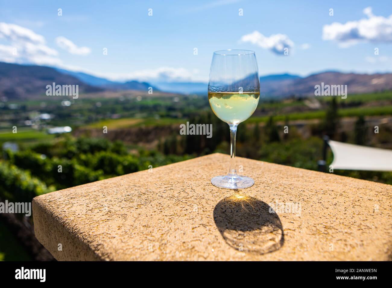 Un Canadese un bicchiere di vino bianco edificio sulla cima di messa a fuoco selettiva contro la vista sullo sfondo del vigneto, Okanagan Valley, British Columbia, Canada Foto Stock