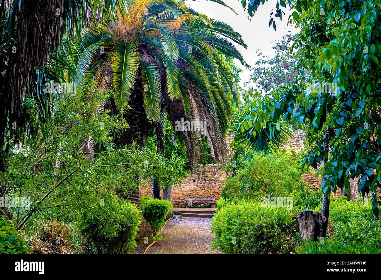 Giardino tropicale in Sala Colonia e complesso islamico Chellah, Moschea e minareto. Chellah è la necropoli di Rabat. Il Marocco. Foto Stock