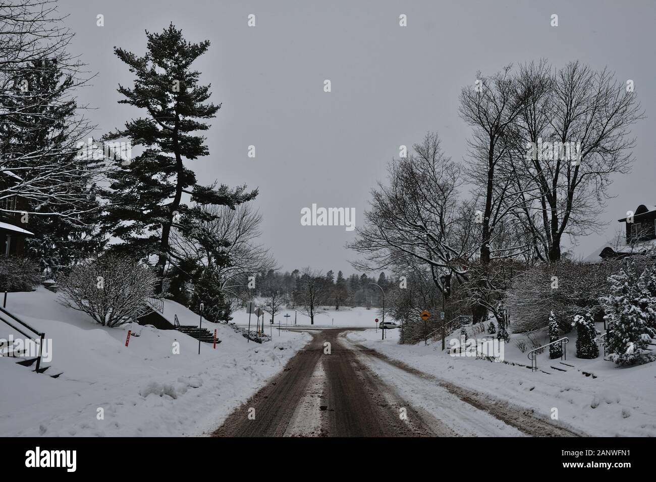 Scena invernale canadese - coperte fresche di nevicate una strada laterale a Ottawa, Ontario, Canada. Foto Stock