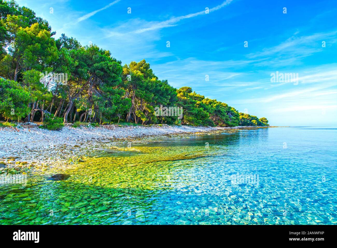 Mare Adriatico in Croazia con pinetree vicino Pula, Valbandon, Istria  penisola, Barbariga spiaggia Foto stock - Alamy