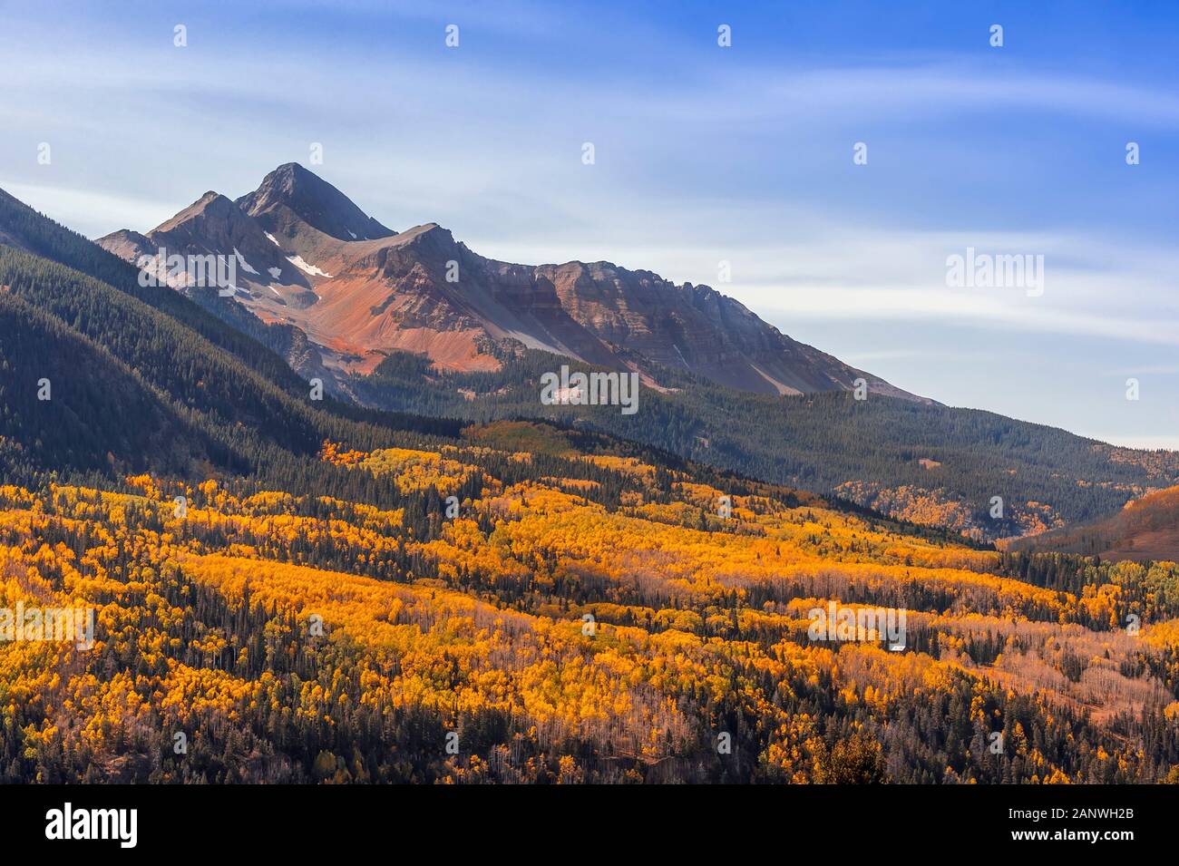 Autunno a colori riempie la valle sotto il monte Wilson lungo il Colorado Highway 145 vicino a Telluride, Colorado. Foto Stock