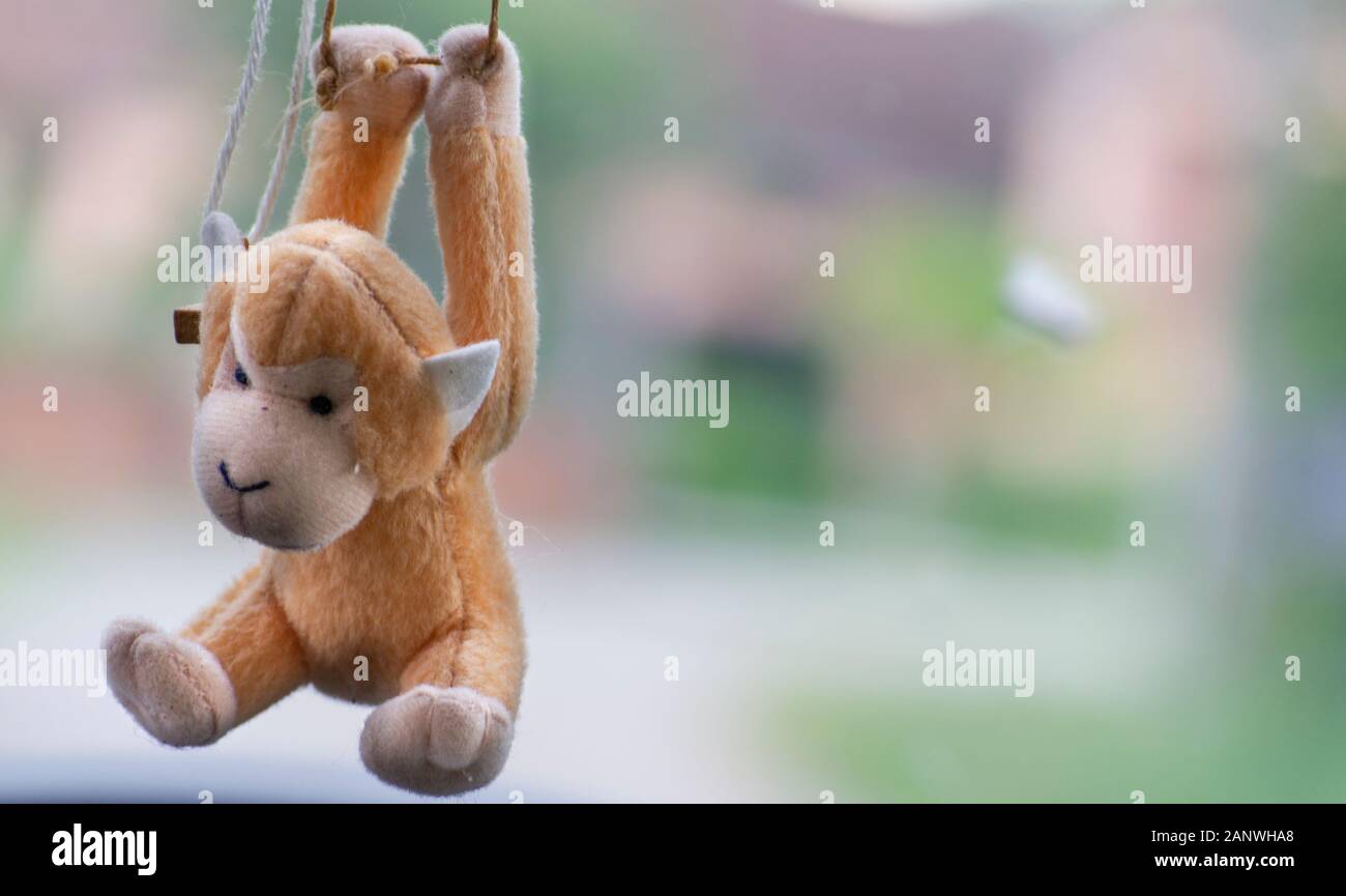 Primo piano di deodorante per auto a forma di scimmia appeso in auto Foto Stock