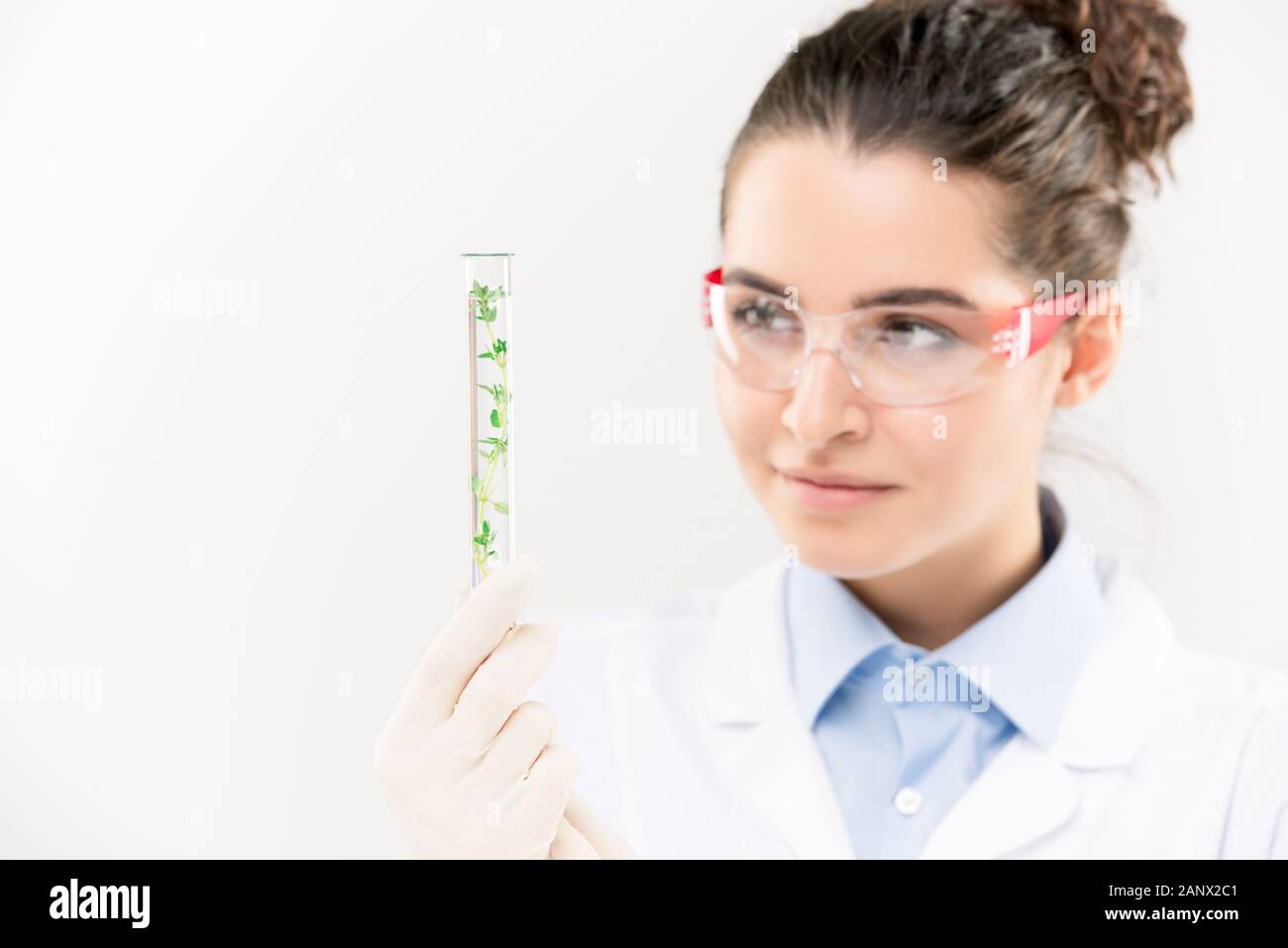 Piuttosto giovane biologo in occhiali guanti nad guardando pianta verde in pallone Foto Stock