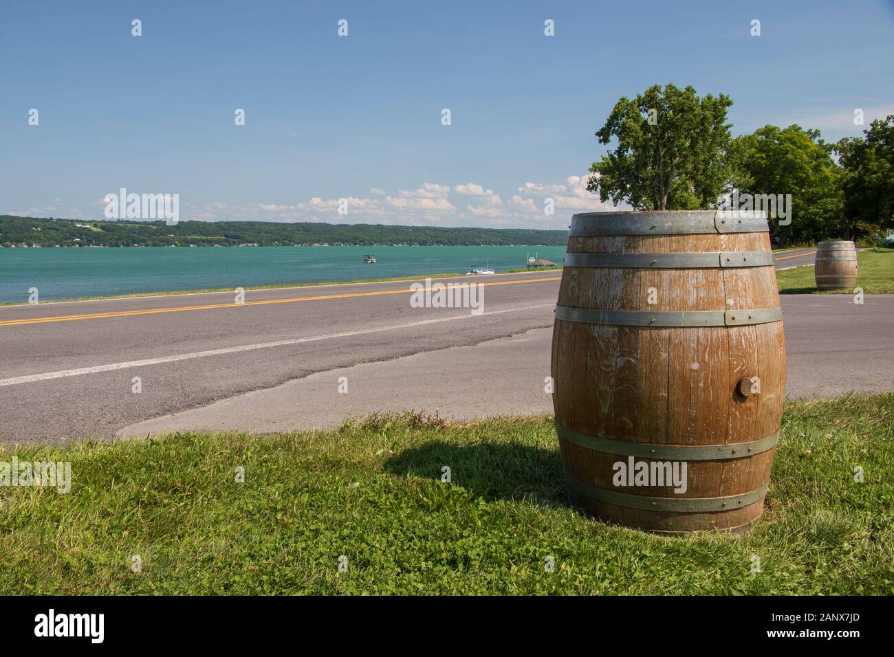 2 agosto 2019: Barilotto di vino lungo una strada e il lago Cayuga in background durante l'estate, Sheldrake Point Winery, Finger Lakes Vineyards, New York, USA Foto Stock