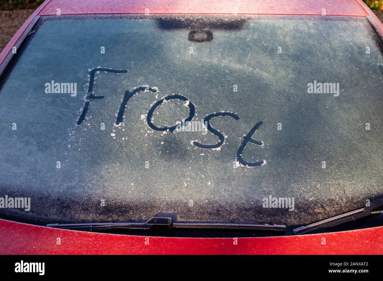 Regno Unito: meteo il gelo di parola scritta in un gelido parabrezza di un auto rossa su un freddo gelido mattina in inverno, Surrey, sud-est dell'Inghilterra, Regno Unito Foto Stock