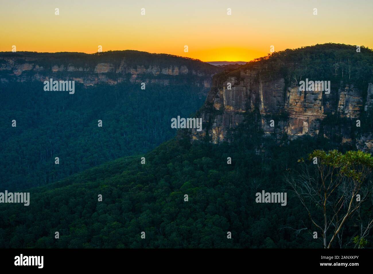 Incredibile tramonto sulla Jamison Valley nelle Blue Mountains del nuovo Galles del Sud, Australia Foto Stock