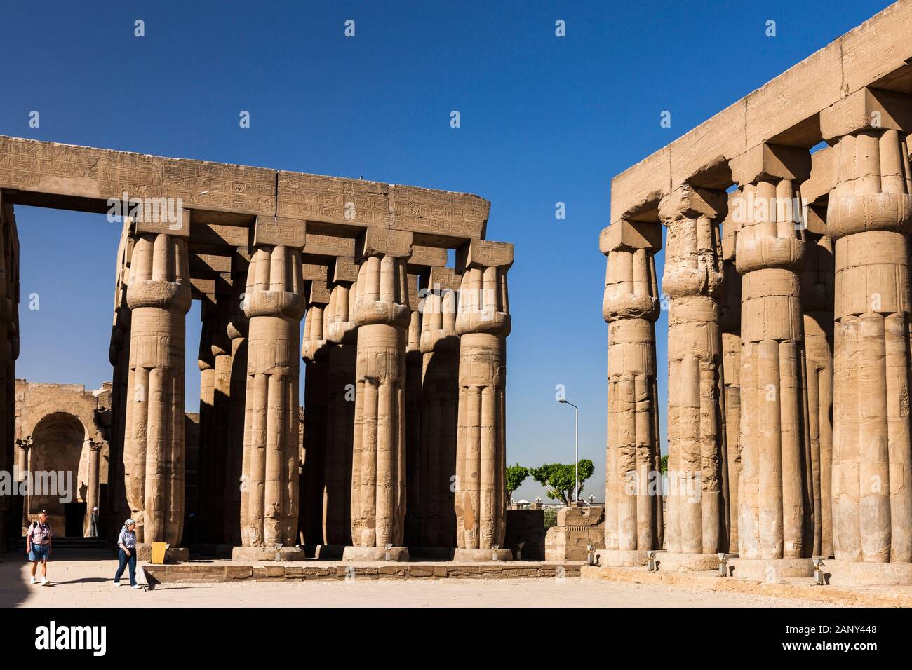 Corte di Amenhotep III, cortile del Colonnade, Tempio di Luxor, Luxor, Egitto, Africa del Nord, Africa Foto Stock