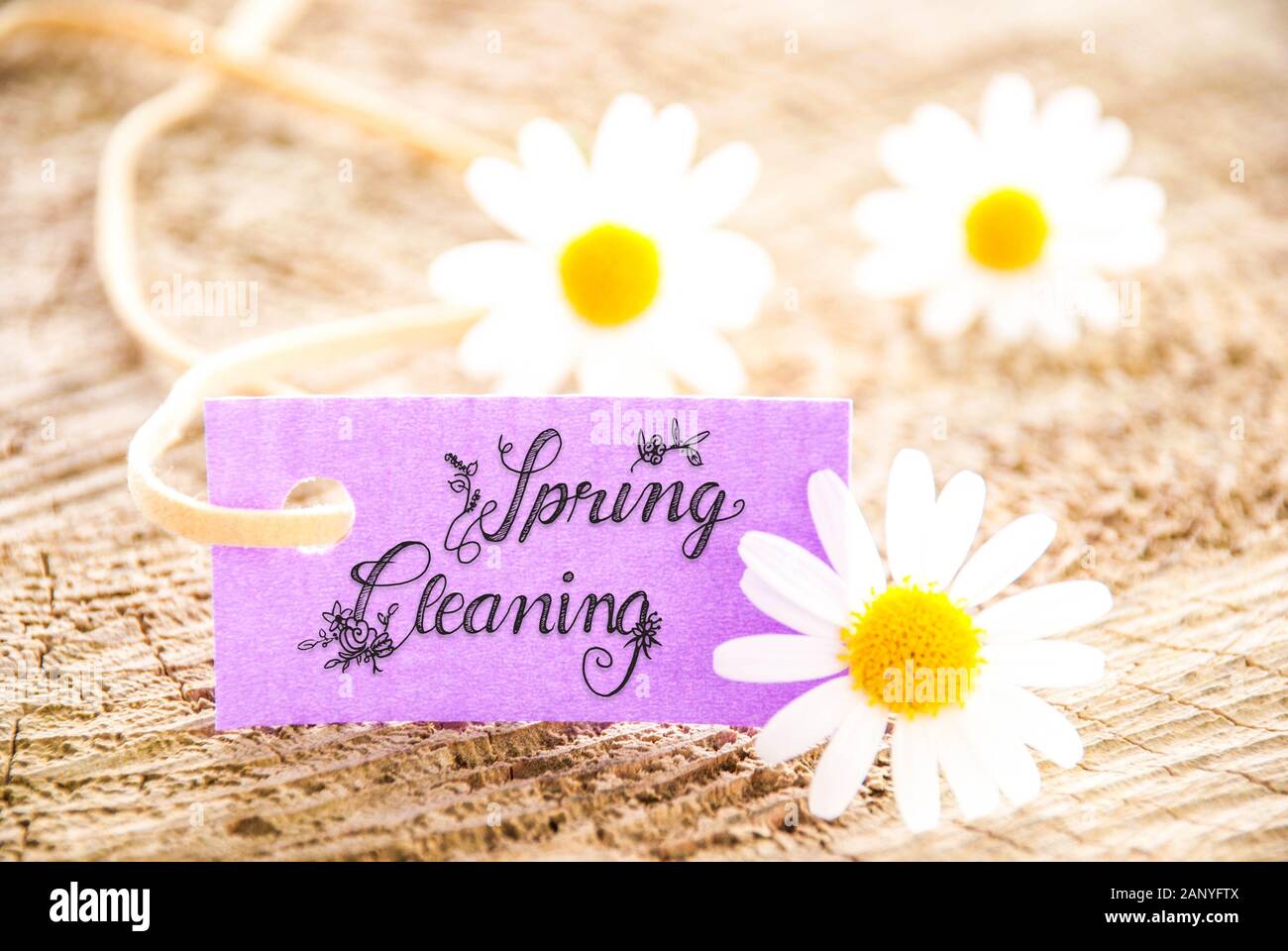 Una etichetta con la calligrafia inglese pulizie di primavera. Daisy  sbocciare fiori su sfondo di legno Foto stock - Alamy