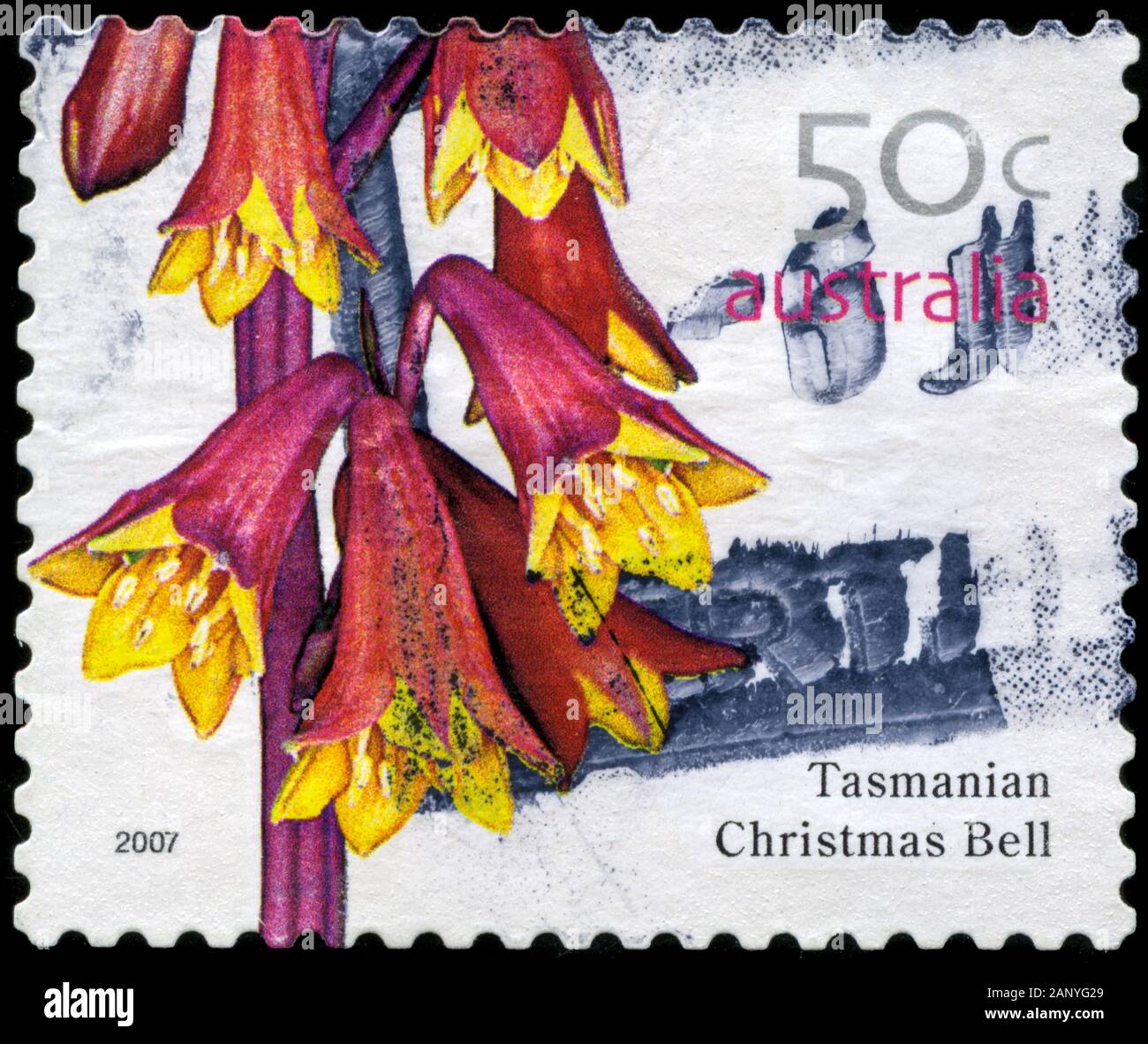 Tasmania campana di Natale Foto Stock