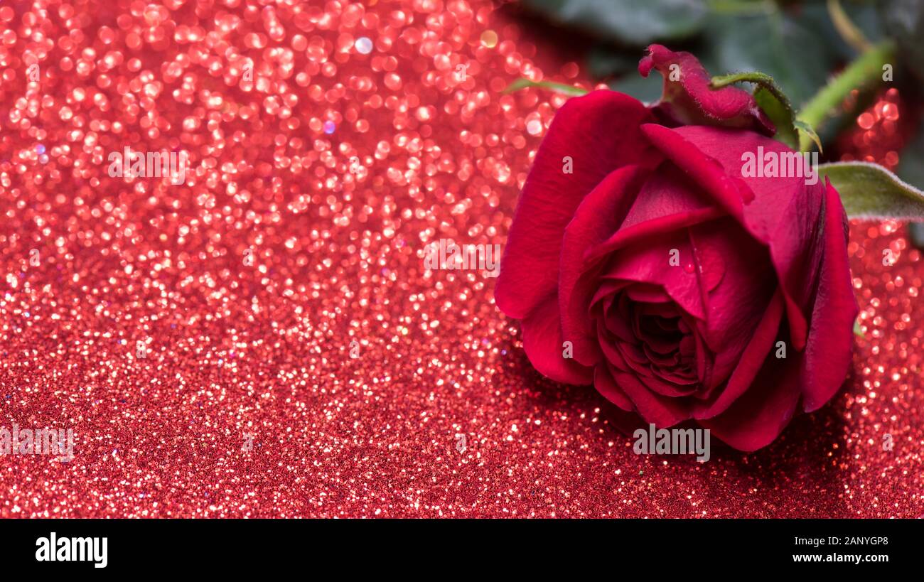 È salito oltre il rosso sfondo astratto con bokeh di fondo Foto Stock