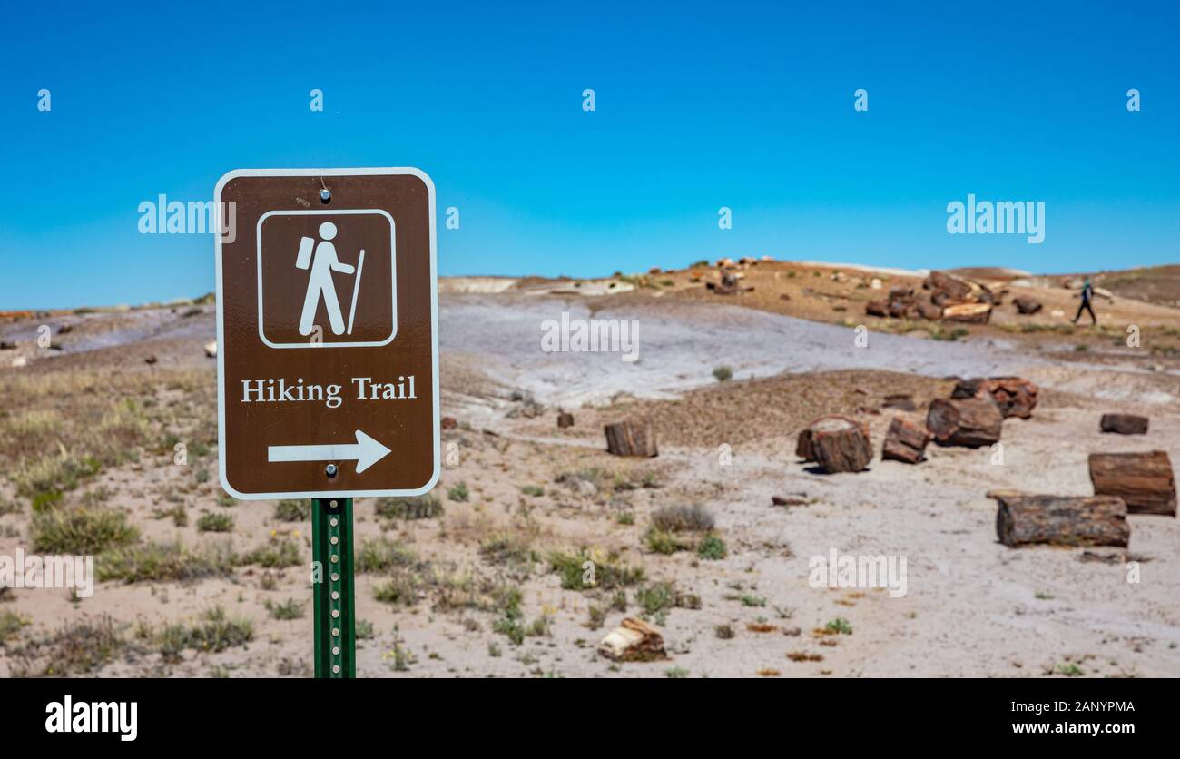 Foresta Pietrificata, Arizona, Stati Uniti. Maggio 25, 2019. Il Parco Nazionale è situato a Navajo e Apache contee con bosco pietrificato. Si tratta di una zona perfetta fo Foto Stock
