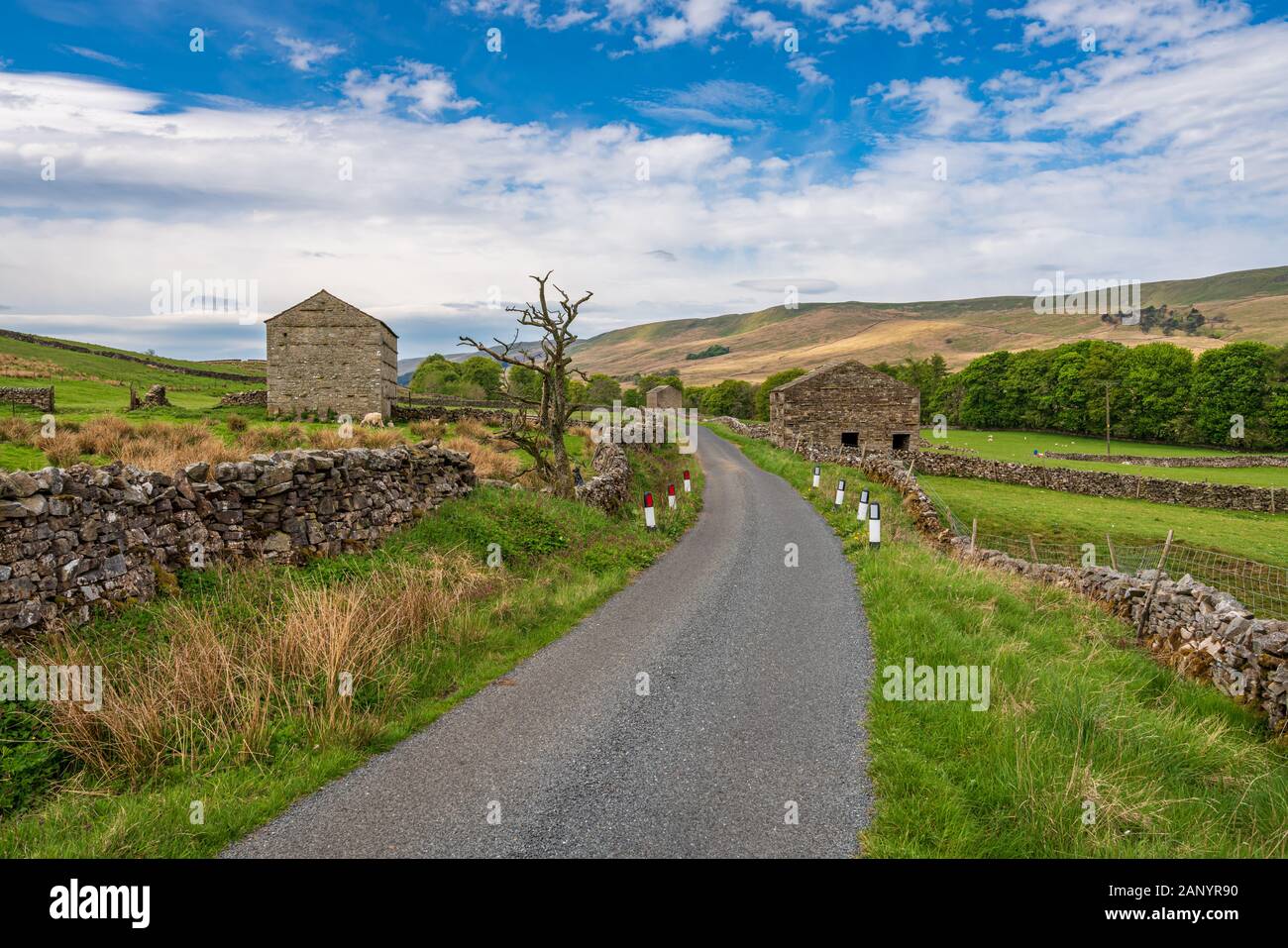 Strada rurale e alcuni granai in pietra nella parte superiore Wensleydale vicino Hawes, North Yorkshire, Inghilterra, Regno Unito Foto Stock