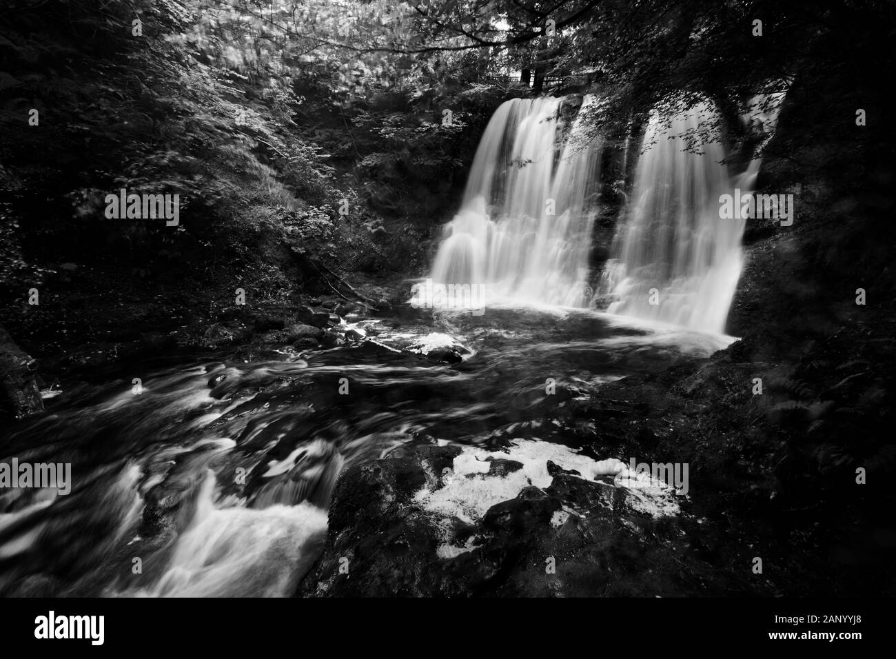 Cascate Nel Glenariff Forest Park, Co Antrim. Foto Stock