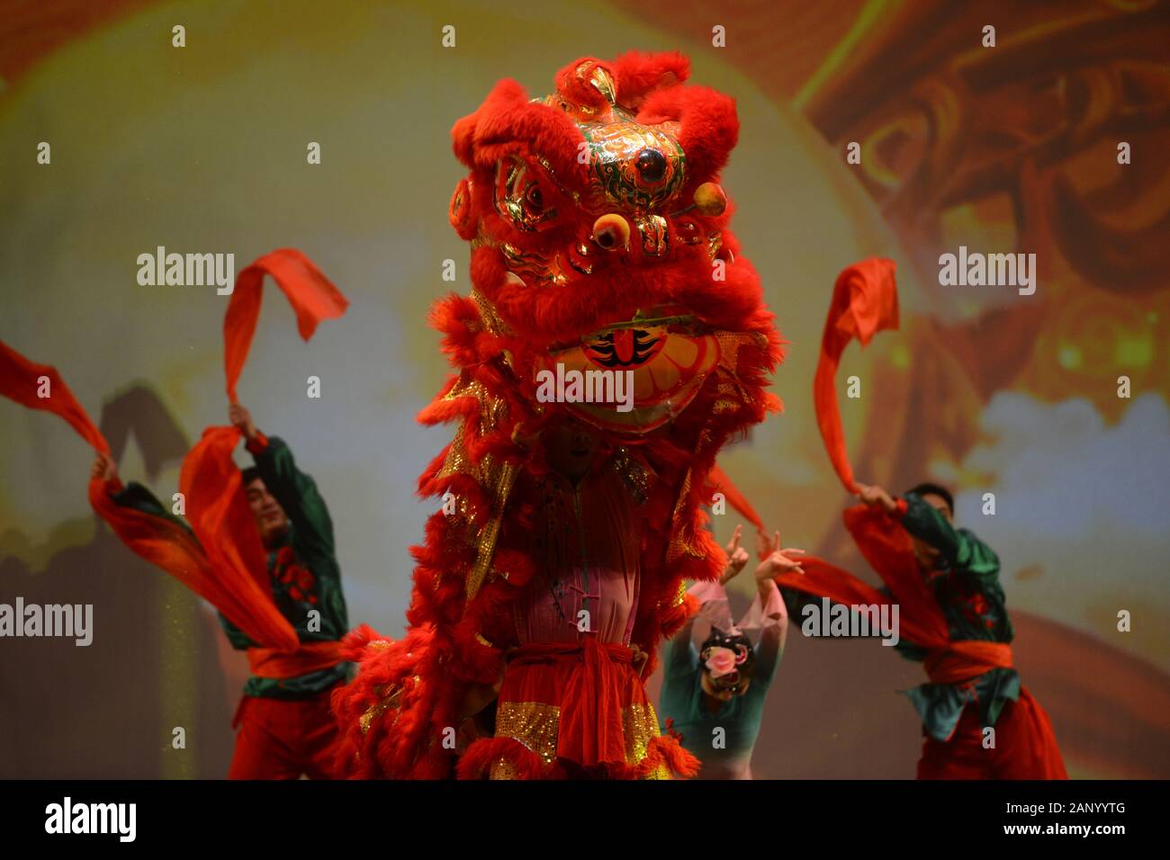 La Valletta, Malta. Xix gen, 2020. Artisti eseguono la danza del leone durante una performance per celebrare il prossimo nuovo anno lunare cinese presso il Centro Conferenze Mediterraneo a La Valletta, Malta, Gennaio 19, 2020. Credito: Jonathan Borg/Xinhua/Alamy Live News Foto Stock