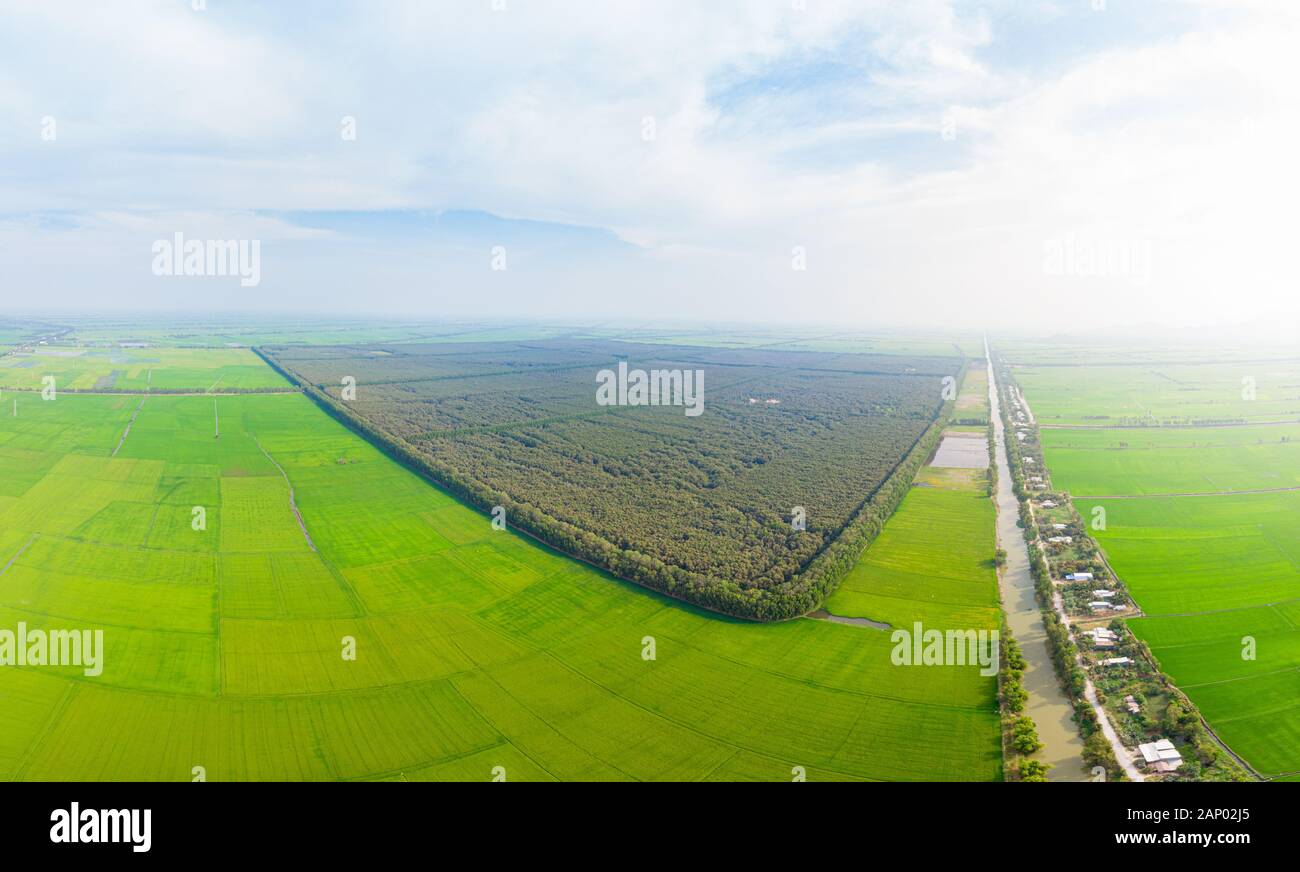 Vista aerea del T.R.A. Su foresta parco turistico di Chau Doc tra i campi di riso nel fiume Mekong Delta regione Sud Vietnam. Verdi risaie dal di sopra, un Foto Stock