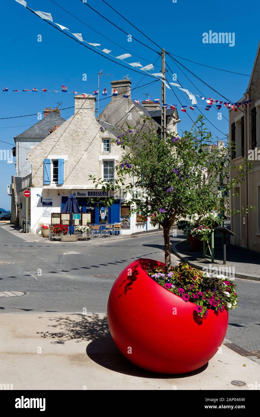 Circolare grande impianto ad albero pentola su un angolo di strada in Grandcamp Maisy, Normand, Francia Foto Stock